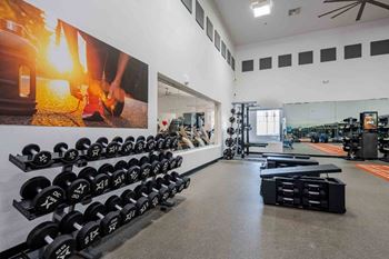 Free weights area